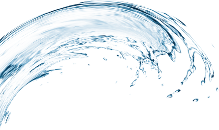 PROFESSIONAL HAIR FASHION